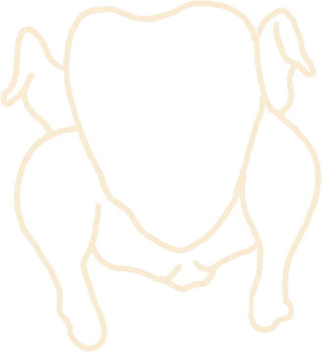 Chicken illustration